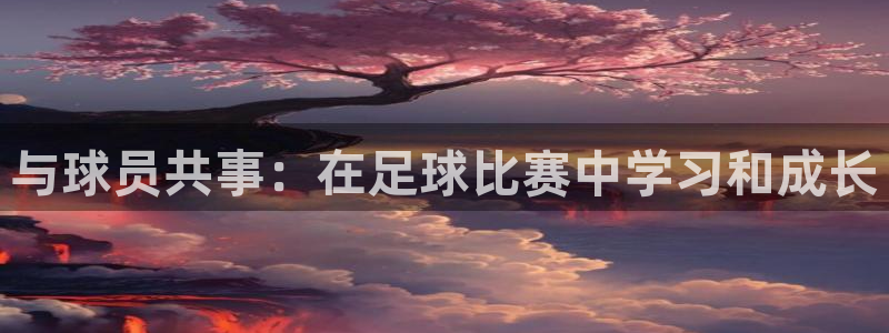 与球员共事：在足球比赛中学习和成长