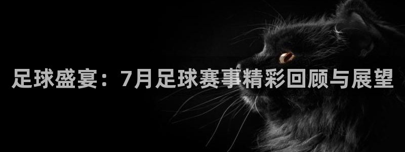 足球盛宴：7月足球赛事精彩回顾与展望