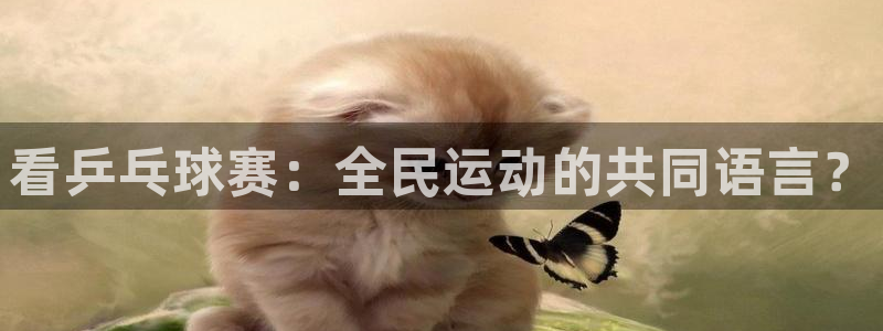 看乒乓球赛：全民运动的共同语言？