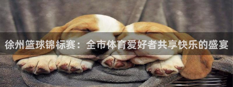 emc全站易倍：徐州篮球锦标赛：全市体育爱好者共享快乐的盛宴