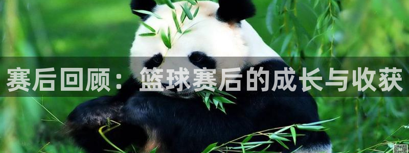 emc体育怎么样：赛后回顾：篮球赛后的成长与收获