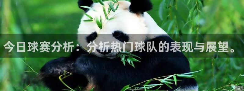 emc易贝体育怎么样：今日球赛分析：分析热门球队的表现与展望