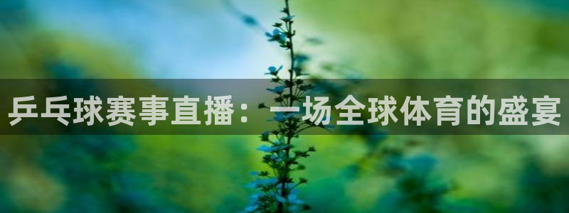  emc体育app合法吗：乒乓球赛事直播：一场全球体育的盛宴